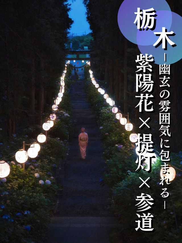 【栃木】本当は教えたくない🙅優美な空気に酔いしれる🥰エモい紫陽花スポット✨