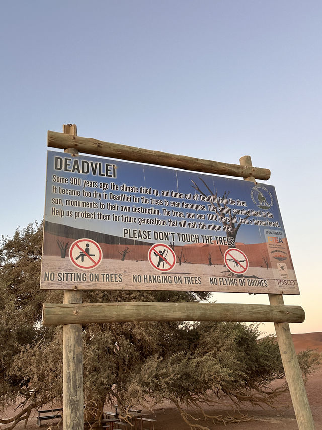 📍 Deadvlei