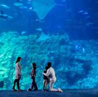精彩海洋之旅 海洋公園