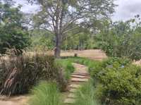 Pirom Cafe @ Khaoyai