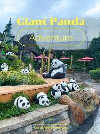 ไปดูน้องแพนด้าที่ฮ่องกงกัน 🐼🎋