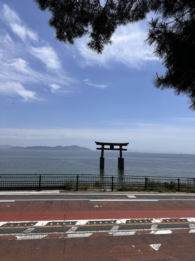 【滋賀観光】