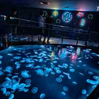 日本東京「墨田水族館」