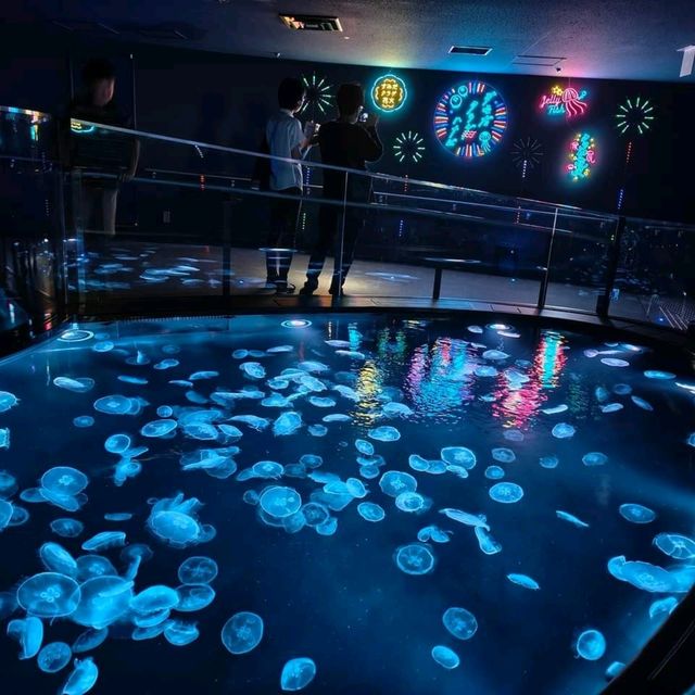 日本東京「墨田水族館」
