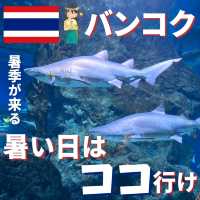 【バンコク】暑い日はここに行こう！