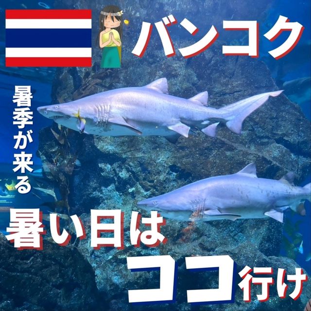 【バンコク】暑い日はここに行こう！