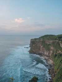 【インドネシア🇮🇩】バリ島の断崖絶壁にあるお猿さんだらけのお寺！