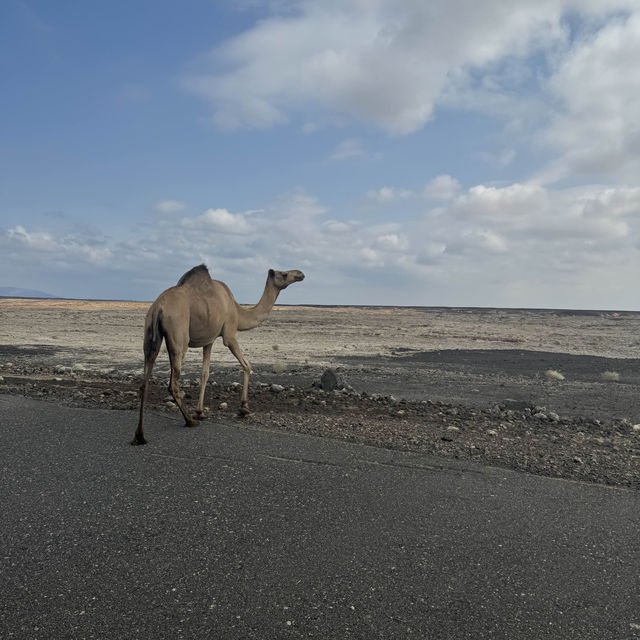 【セメラ旅行】