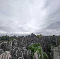 Stone Forest?!