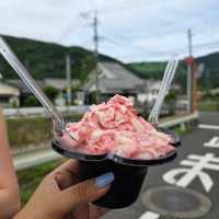 Yufuin floral Village เมืองน่ารักๆ 