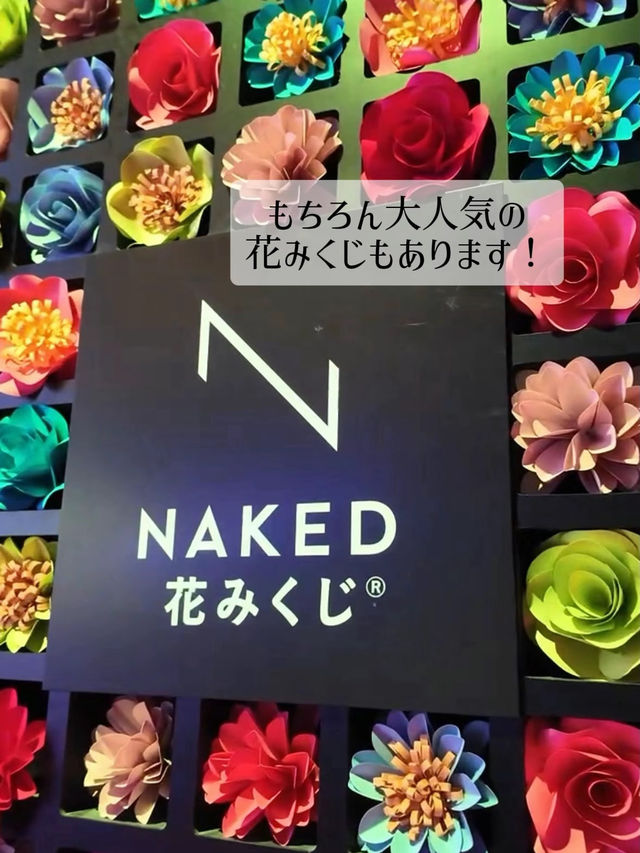 【📍東京】この夏ぜひ行って！仕事終わりに日本全国おまつり体験🏮