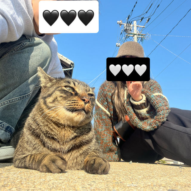 福岡にある猫天国な島