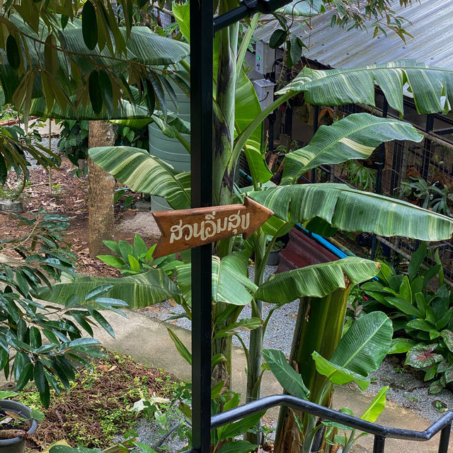 คาเฟ่ภูเก็ต