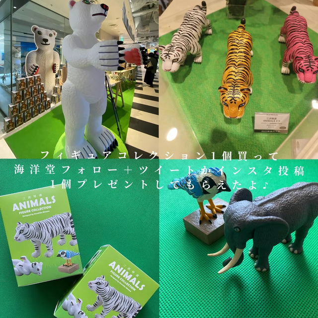 【渋谷】\予算5000円/アートな渋谷で遊ぼう！