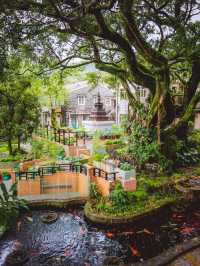 【香港大嶼山1日遊】昂坪360全景纜車🏖️，寶蓮禪寺🔥，方便又舒適！😍