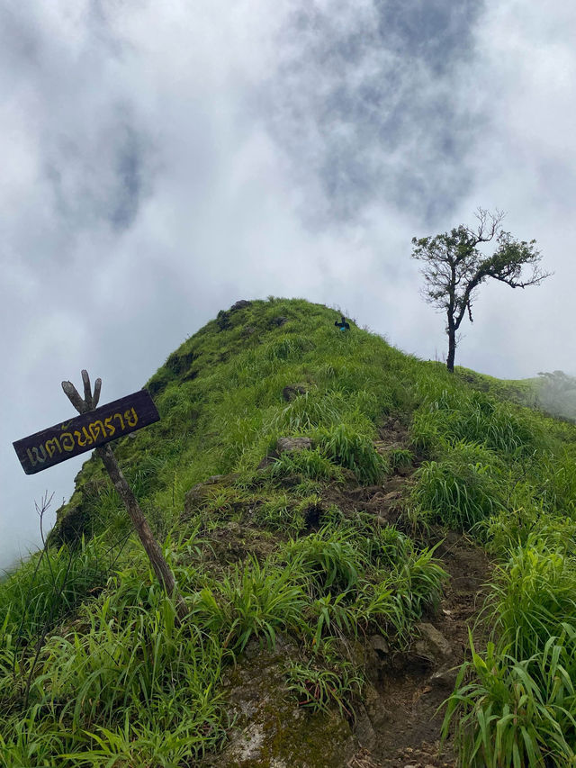 ฤดูฝนที่เปรโต๊ะลอซู จ.ตาก ⛰️🌧️🌿🥾