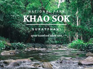 กางเต็นท์ นอนชิลท่ามกลางธรรมชาติ 