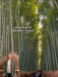 The Best Things to See in Kyoto, Japan 🇯🇵
