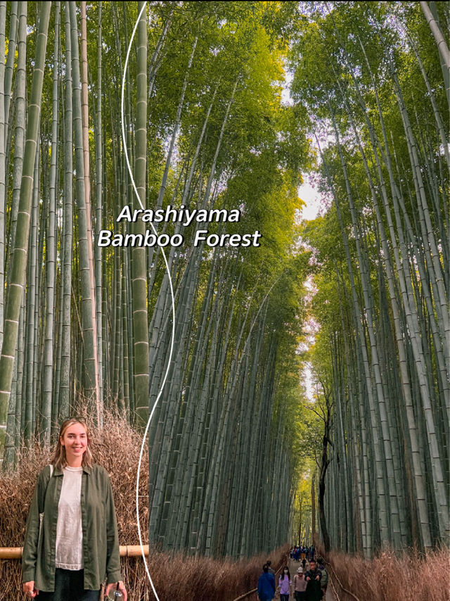 The Best Things to See in Kyoto, Japan 🇯🇵