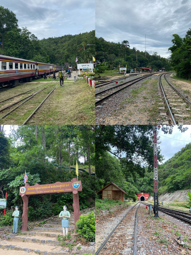 ฤดูฝนที่ดอยขุนตาล | ลำพูน 🏕️🌳🌦️🌿