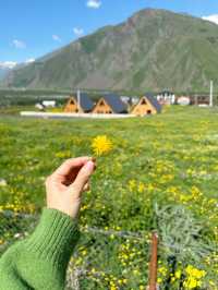 Kazbegi View 🇬🇪 ที่พักวิวสุดอลังการใน Kazbegi