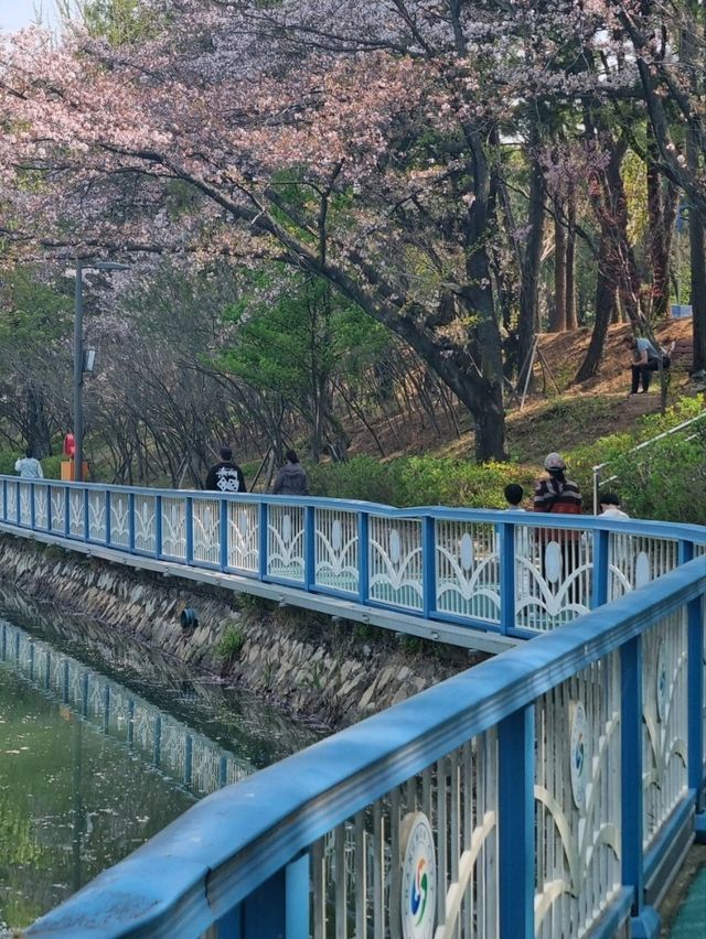 아름다운 벚꽃뷰 공원나들이
