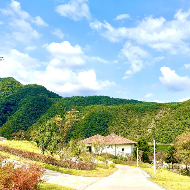 옥천 장계 관광지에서 산책과 커피까지