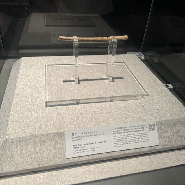 I Took 3 Flights to reach Zhengzhou Just to Experience the Splendor of the Henan Museum!