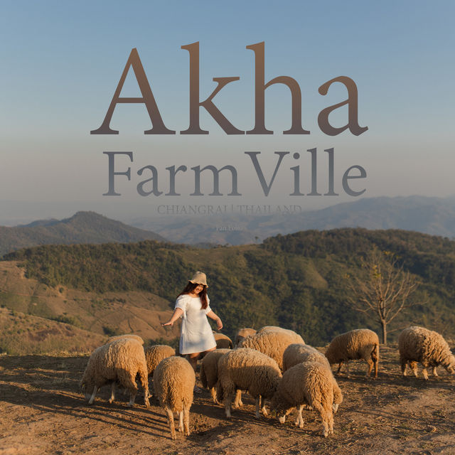 พาเที่ยวฟาร์มแกะที่ Akha FarmVille เชียงราย🐑💚