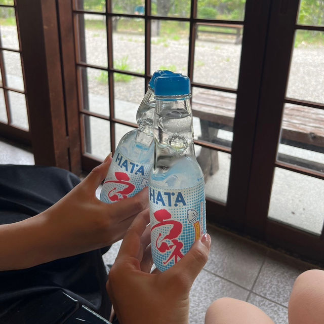 季節の花に動物、昭和にタイムスリップまで！？📍ぎふ清流里山公園