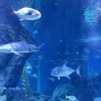 SEA LIFE Bangkok Ocean World