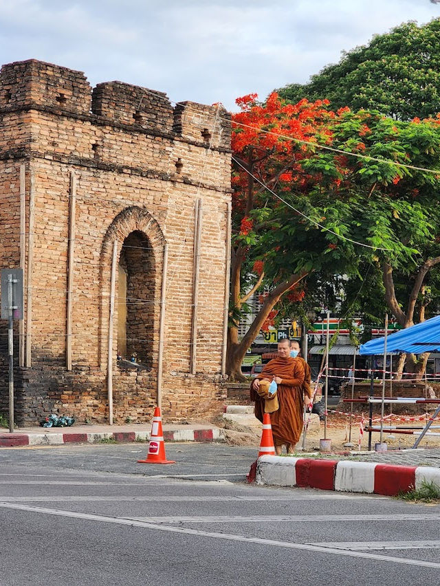 📍 ประตูช้างเผือก 