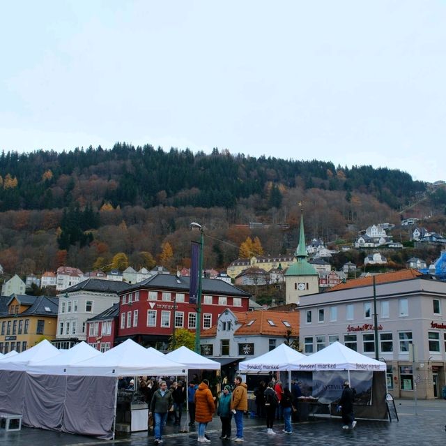 挪威峽灣城市Bergen
