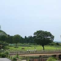 「平川動物公園」親近可愛動物，愉快親子時光！