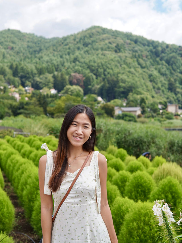 東京 | 必去富士山周邊景點首選 - 大石公園🌼