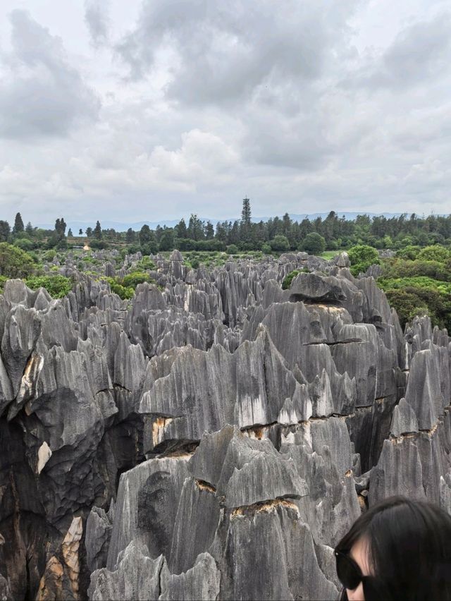 Stone Forest in Kunming 