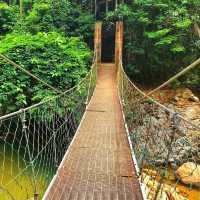 🇲🇾 Dive into Nature: Experience Langsir Waterfall