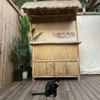 용인 다람이커피 치앙마이 감성 저수지 카페
