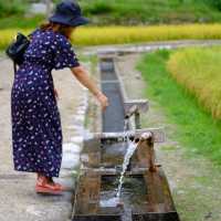 Shirakawa go หน้าร้อนก็สวยไม่แพ้ฤดูอื่นนะคะ