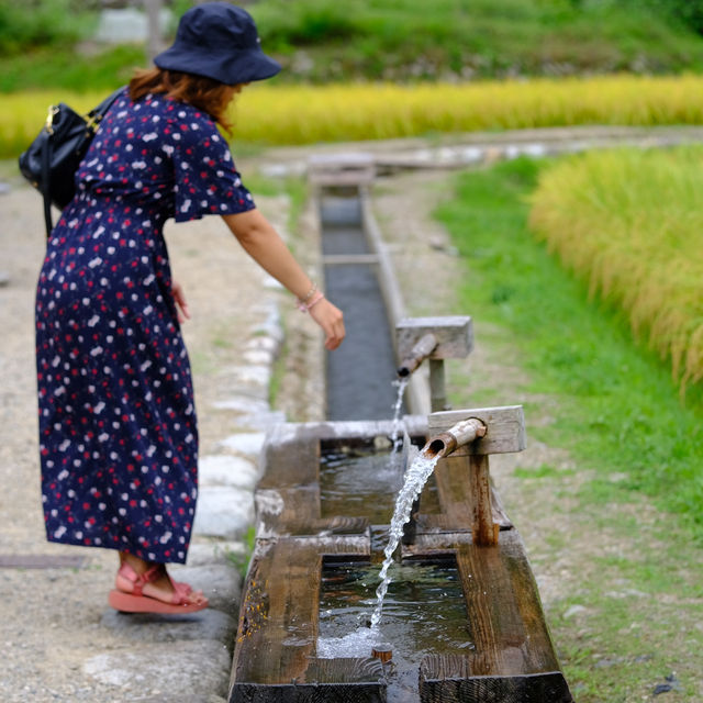 Shirakawa go หน้าร้อนก็สวยไม่แพ้ฤดูอื่นนะคะ