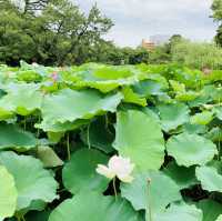 栗林公園！！
