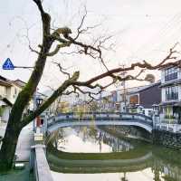Kinosaki Onsen: A Timeless Hot Spring Escape