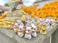 อุทยานพระพิฆเนศองค์ยืน จ.ฉะเชิงเทรา