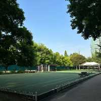 🌲 木場公園🌲城市綠洲🌲