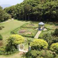 🌳 山頂公園超絕歐美花景 x 樹木研習徑