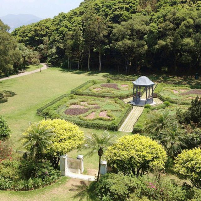 🌳 山頂公園超絕歐美花景 x 樹木研習徑