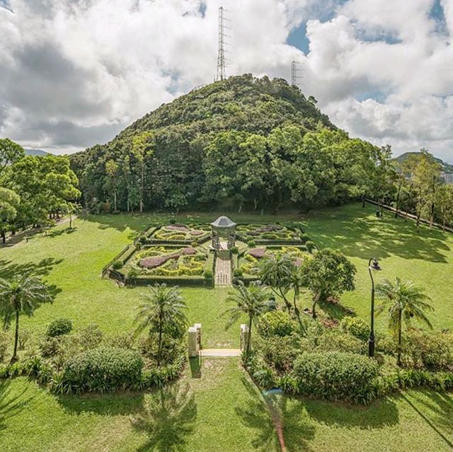 🌳 山頂公園超絕歐美花景 x 樹木研習徑