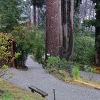 Wildlife Wonders: Kiwi Park NZ, Queenstown's Hidden Gem