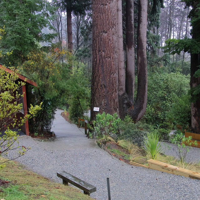 Wildlife Wonders: Kiwi Park NZ, Queenstown's Hidden Gem