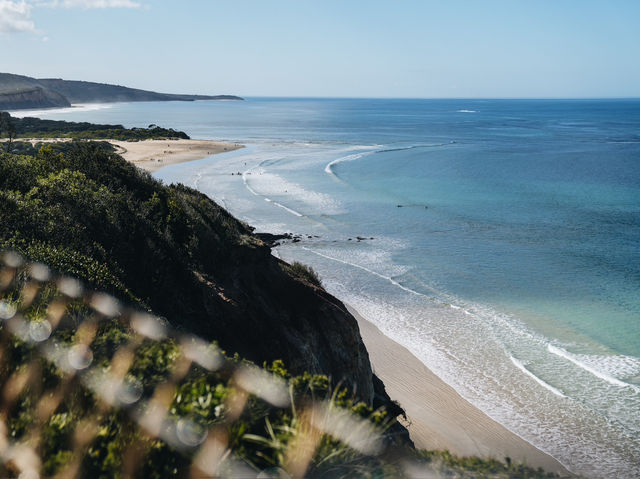 🇦🇺 墨爾本 大洋路🌊 這種只屬於衝浪天堂不同層次的藍🦋
